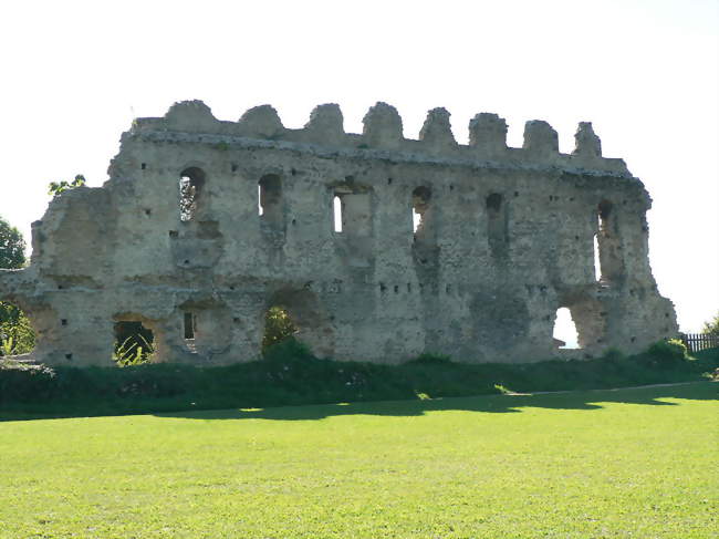 Mur d'enceinte du château de Beauvoir - Beauvoir-en-Royans (38160) - Isère