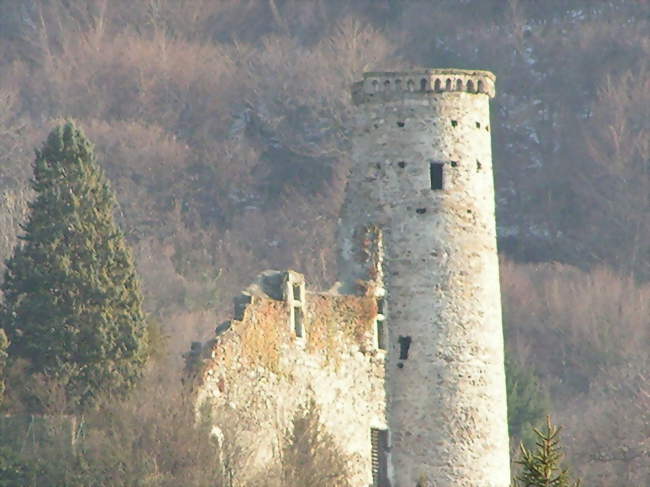 Tour des Alleman - Champ-sur-Drac (38560) - Isère