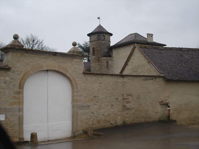 Le château - Moras (38460) - Isère