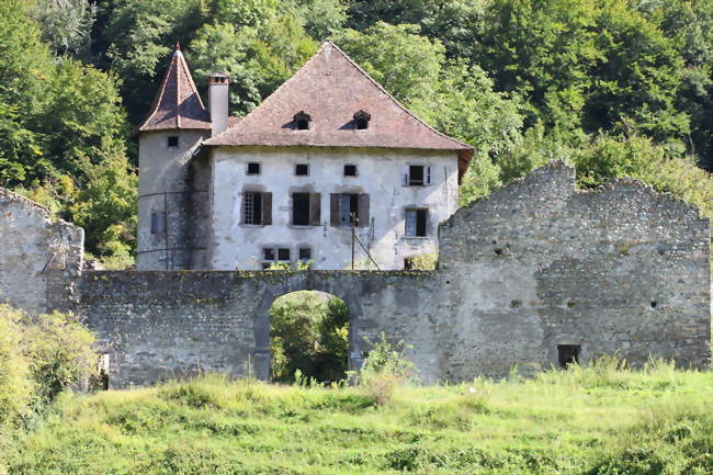 Le manoir de la Vaubeaunnais - La Pierre (38570) - Isère