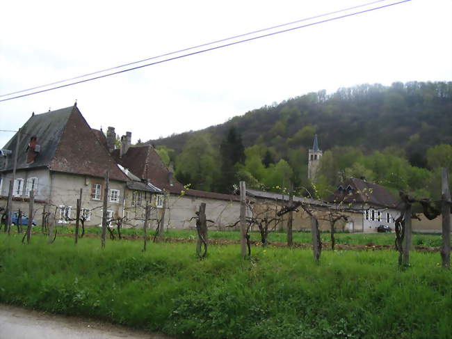 Ouvrier / Ouvrière agricole en maraîchage-horticulture