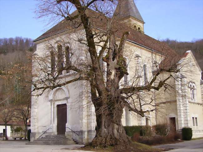 L'église et le tilleul centenaire - Saint-Aupre (38960) - Isère