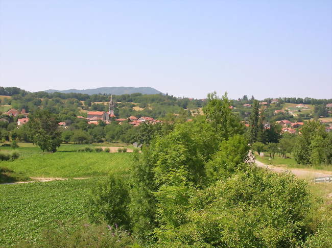 Vue du village à flanc de coteau - Saint-Jean-de-Moirans (38430) - Isère