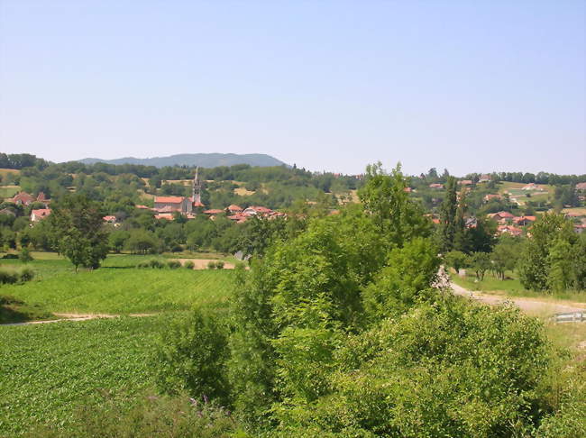 Marché de Saint-Jean-de-Moirans