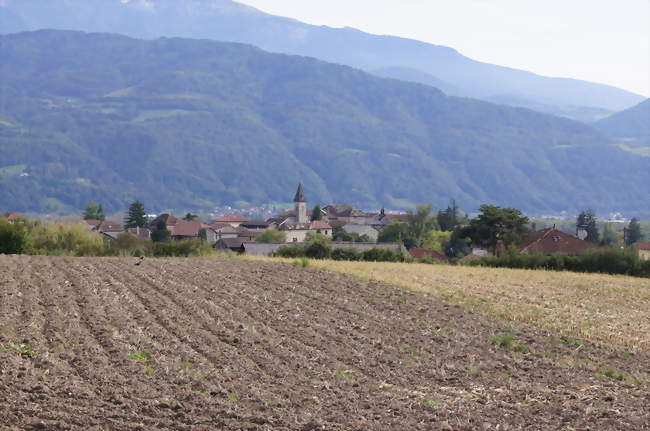 Le village - Saint-Nazaire-les-Eymes (38330) - Isère