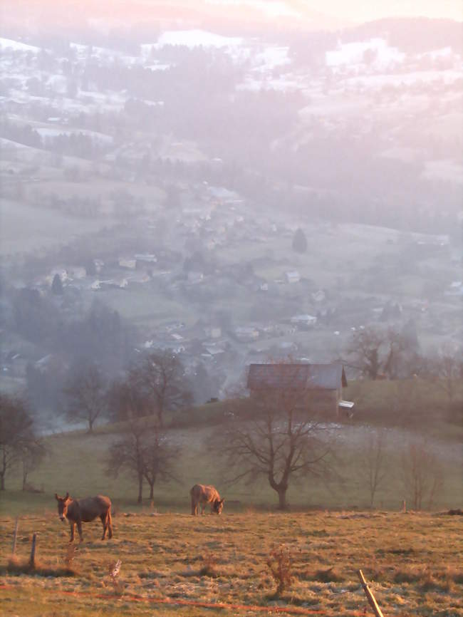 Theys - Theys (38570) - Isère