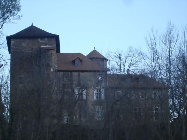 Le Château - Villemoirieu (38460) - Isère