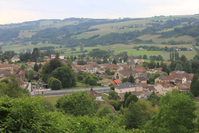 Virieu vu depuis l'est - Virieu (38730) - Isère