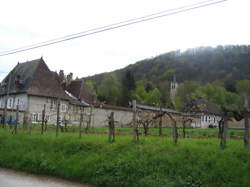 photo Ouvrier / Ouvrière agricole en maraîchage-horticulture