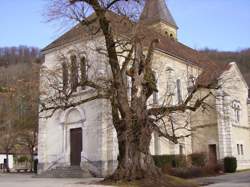 photo Projection «La vallée des loups»