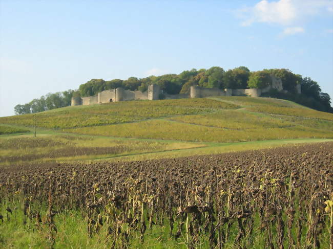 Ruines du château d'Arlay (XIIIe s) - Arlay (39140) - Jura