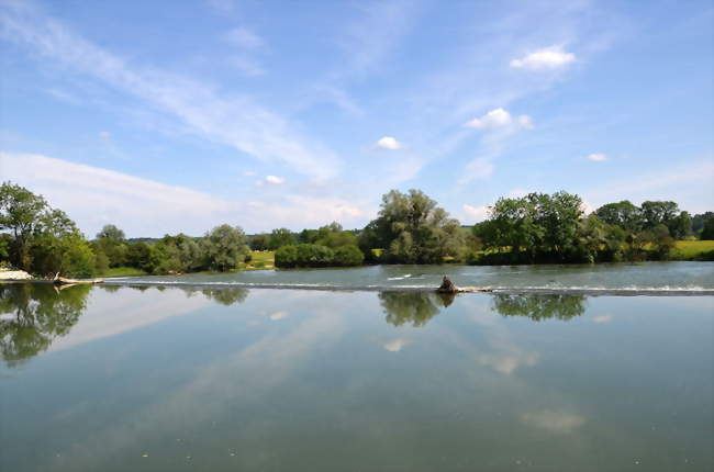 Le Doubs à Audelange - Audelange (39700) - Jura