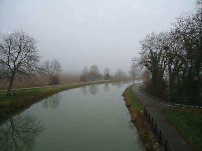 Canal du Rhône au Rhin longé par l'EuroVelo 6 - Choisey (39100) - Jura