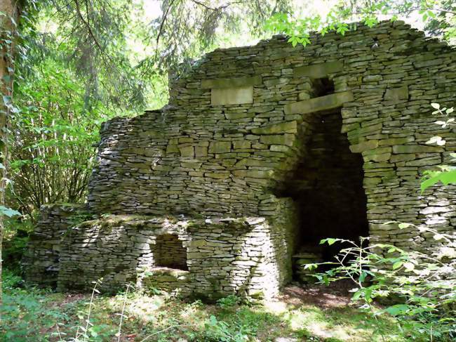 Construction de pierre sèche particulière dans un bosquet - Crançot (39570) - Jura