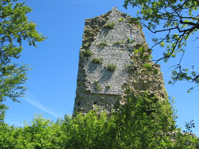 Tour du Chateau de dramelay - Dramelay (39240) - Jura