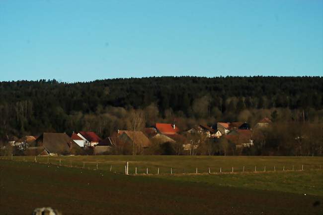 Visite de ferme