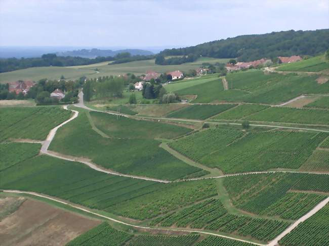 Paysage de Menétru-le-Vignoble - Menétru-le-Vignoble (39210) - Jura