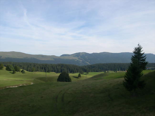 Paysage des Monts du Jura depuis les Molunes - Les Molunes (39310) - Jura