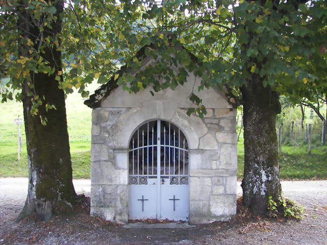 Bain de forêt - Sylvothérapie
