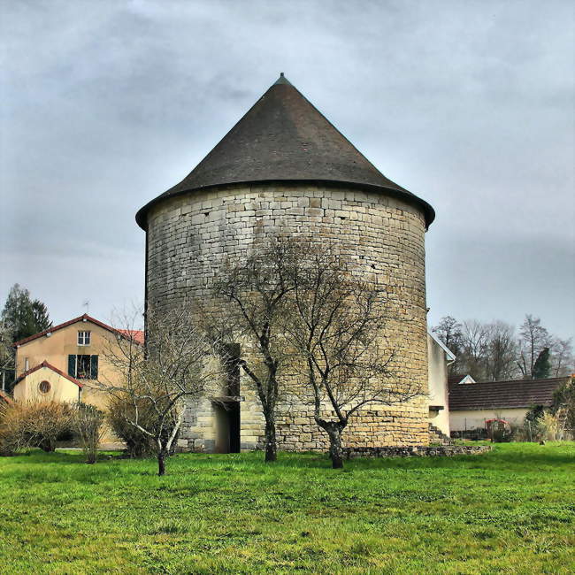 Tour de l'ancien château à Ougney - Ougney (39350) - Jura