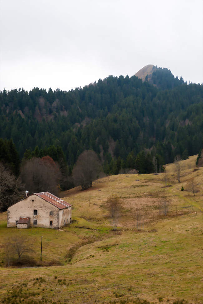 Espace Mosaïque - Balade à la Croix des Couloirs