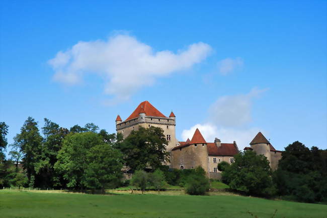 Château du Pin (XIIIe siècle) - Le Pin (39210) - Jura
