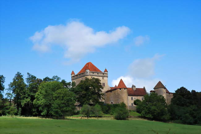 Château du Pin (XIIIe siècle) - Le Pin (39210) - Jura
