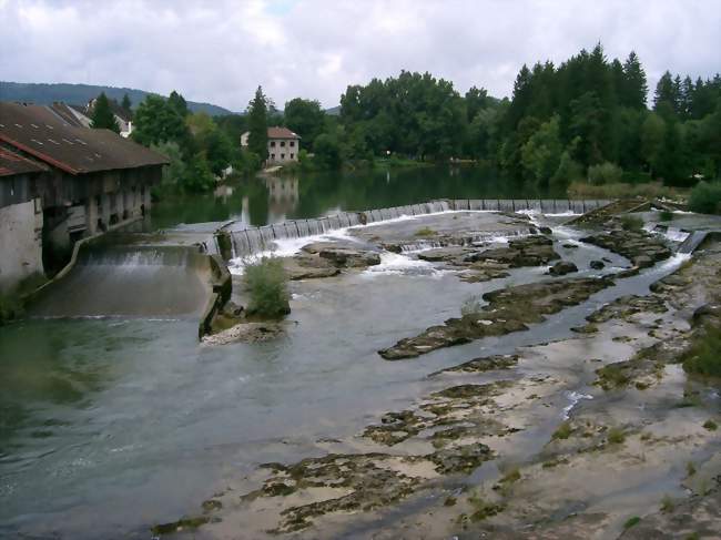 L'Ain à Pont-de-Poitte - Pont-de-Poitte (39130) - Jura