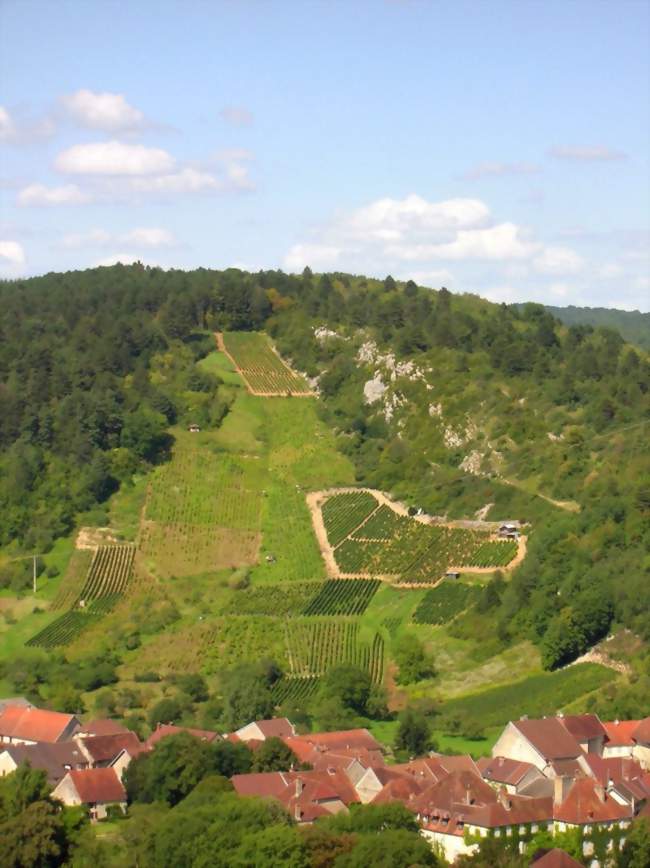 Le village et ses vignes - Port-Lesney (39330 et 39600) - Jura