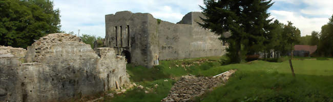 Ruines du château de Présilly - Présilly (39270) - Jura