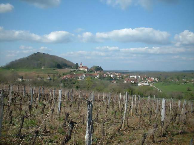 Photo des vignes et du village de Saint-Lothain - Saint-Lothain (39230) - Jura