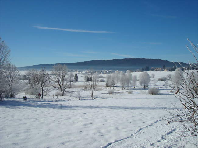 Visite de la ferme de la fruitiere