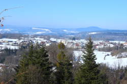 photo Cogna
