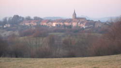 Balade et Dégustation dans les vignes