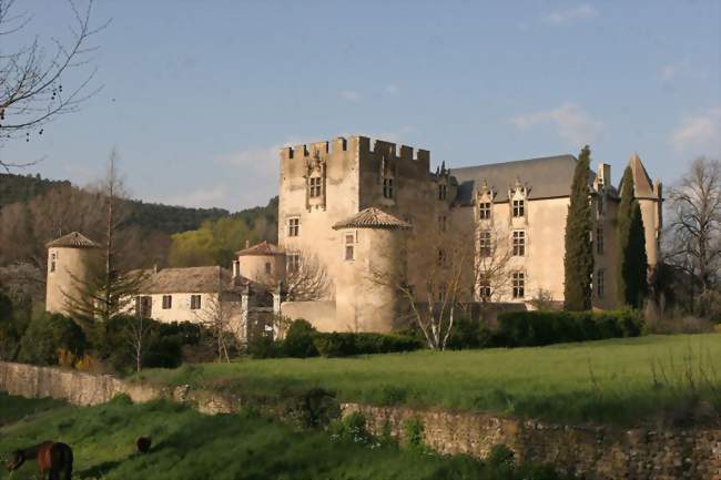 Le château - Allemagne-en-Provence (04500) - Alpes-de-Haute-Provence