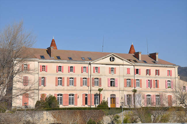 Le château - Malijai (04350, 04510) - Alpes-de-Haute-Provence