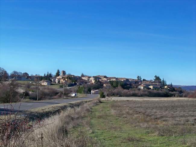 Marché hebdomadaire