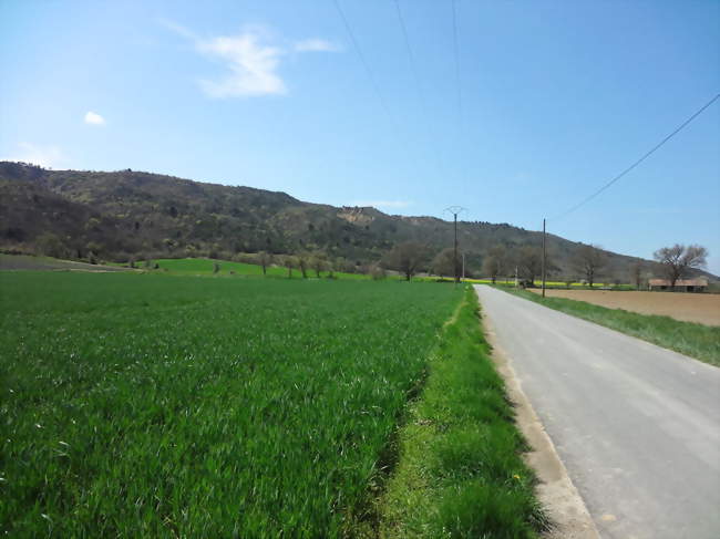 Vallée de lAsse et abrupt du plateau de Valensole - Saint-Julien-d'Asse (04270) - Alpes-de-Haute-Provence