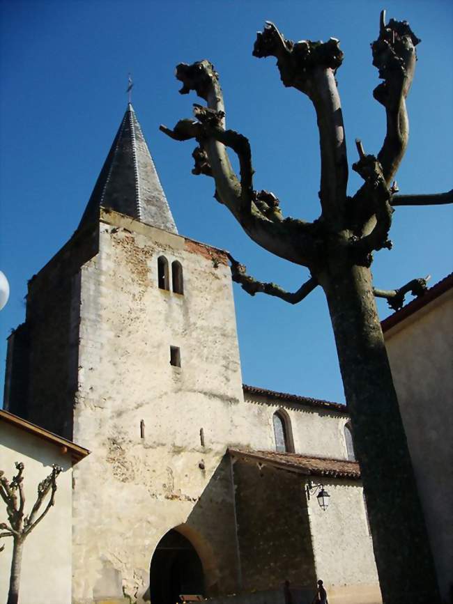 Église Saint-Pierre d'Amou - Amou (40330) - Landes