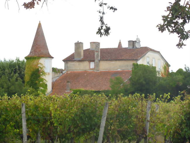 Château Juliac - Betbezer-d'Armagnac (40240) - Landes