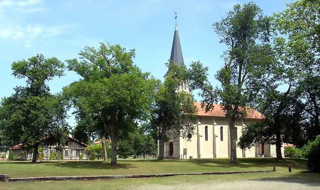 Maison de l'airial et église Saint-Michel - Bias (40170) - Landes