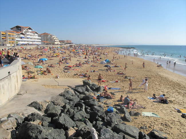 La grande plage de Capbreton - Capbreton (40130) - Landes