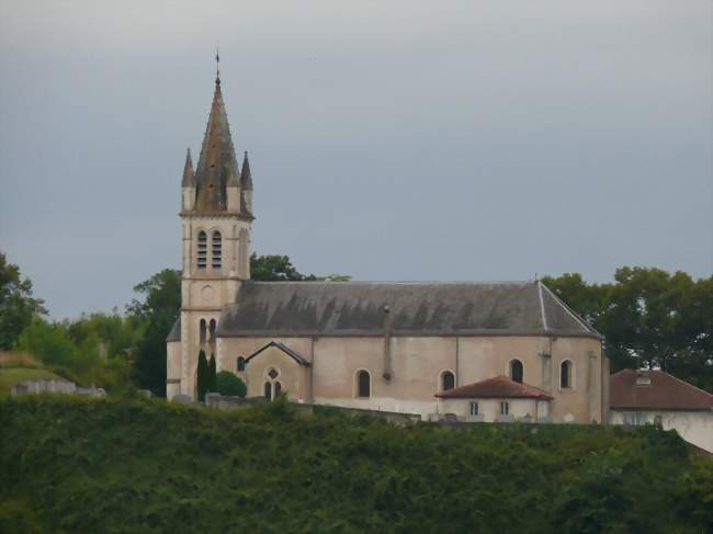 L'église Saint-Pierre - Cauneille (40300) - Landes
