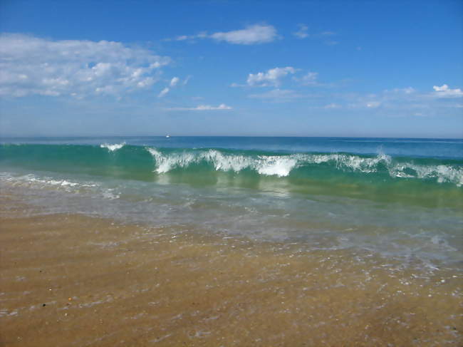 Plage de Messanges - Messanges (40660) - Landes