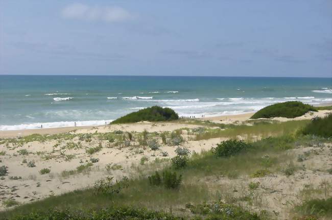 La plage du Penon à Seignosse-Océan - Seignosse (40510) - Landes