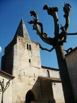photo Visites guidées de l'Eglise Saint-Pierre d'Amou :  de l'église primitive à celle d'aujourd'hui, huit siècles d'Histoire