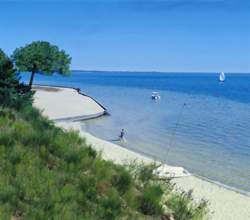 RESTAURANT TRADITIONNEL A BISCARROSSE