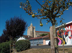 photo La fête à la Mecque