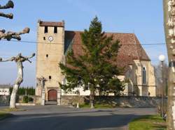 photo Aide agricole en polyculture