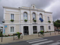 photo Employé polyvalent / Employée polyvalente de restaurant